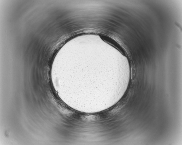 X0000100200253200806271648