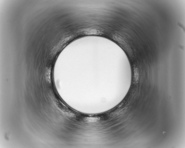 X0000100200255200806271648