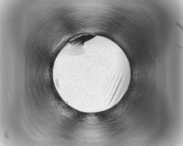 X0000100200256200806271648