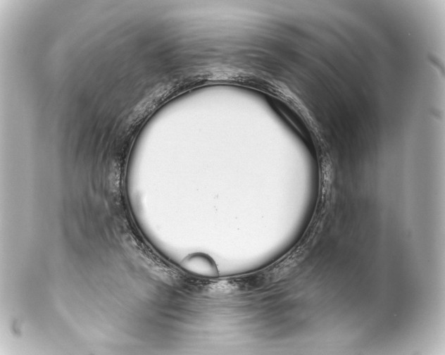 X0000100200257200806271648