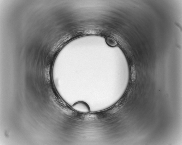 X0000100200258200806271648