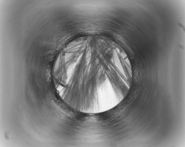 X0000100200259200806271648