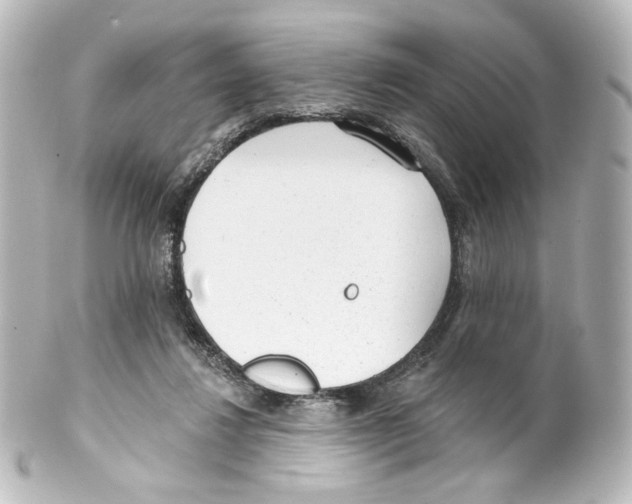 X0000100200260200806271648