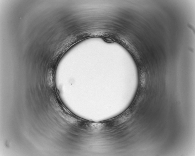 X0000100200261200806271648