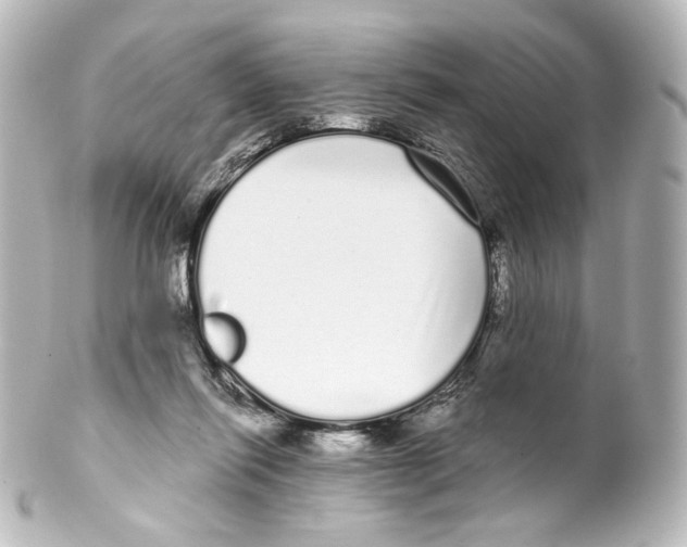 X0000100200262200806271648