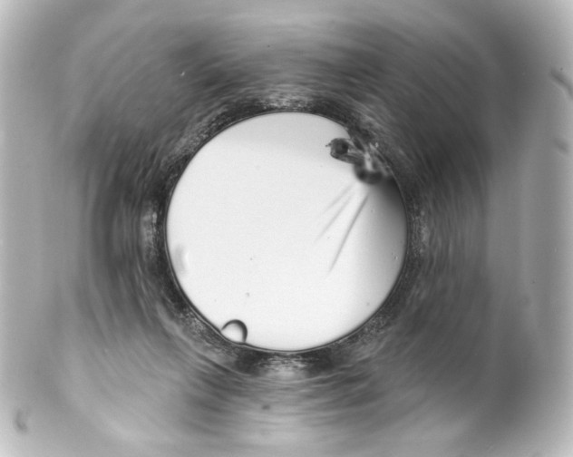X0000100200263200806271648