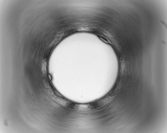 X0000100200265200806271648