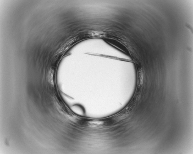 X0000100200266200806271648