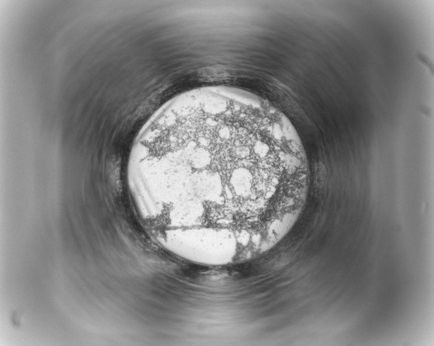 X0000100200267200806271648