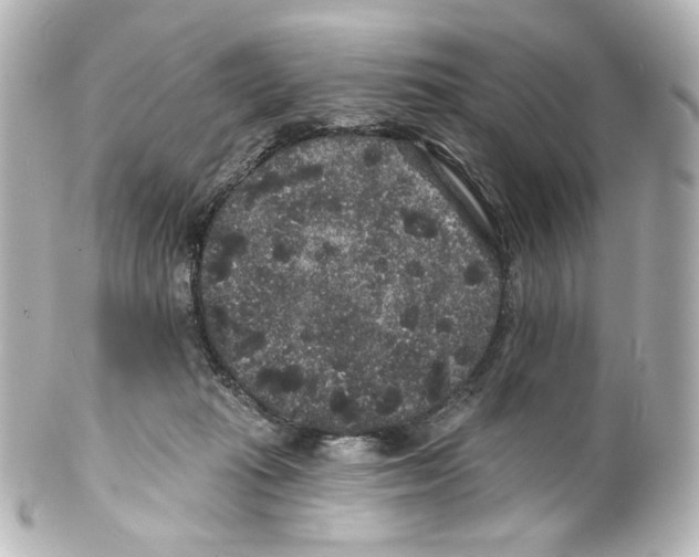 X0000100200269200806271648