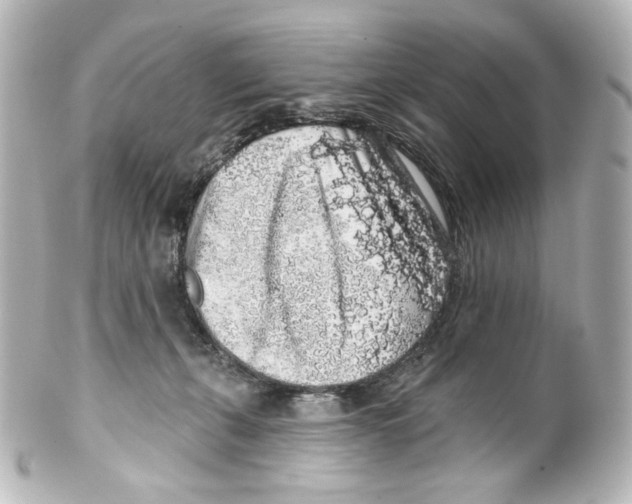 X0000100200271200806271648