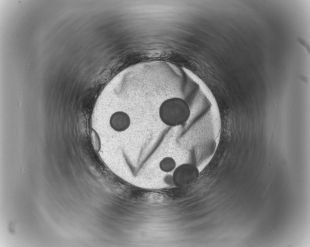 X0000100200272200806271648