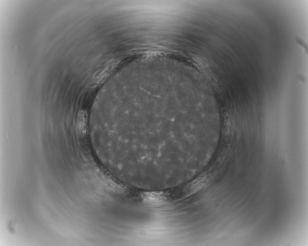 X0000100200273200806271648