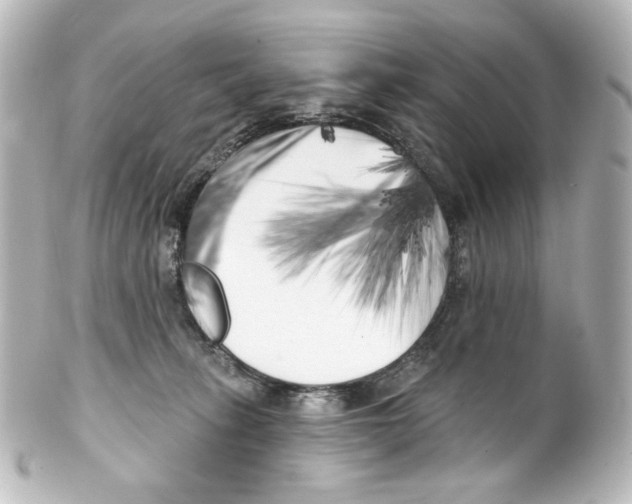 X0000100200275200806271648