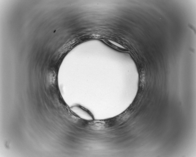 X0000100200278200806271648