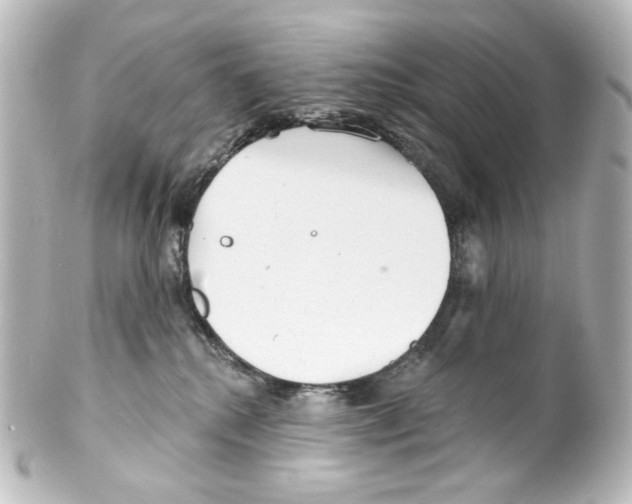 X0000100200280200806271648