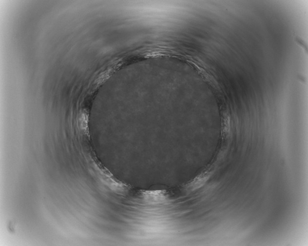 X0000100200281200806271648