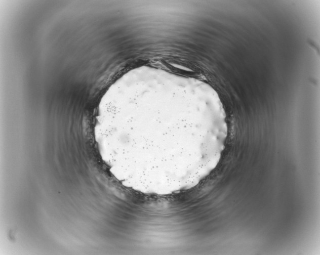 X0000100200282200806271648