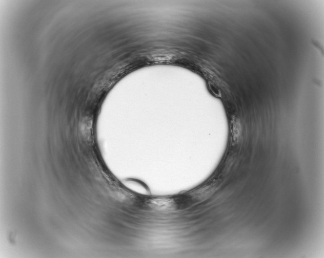 X0000100200283200806271648