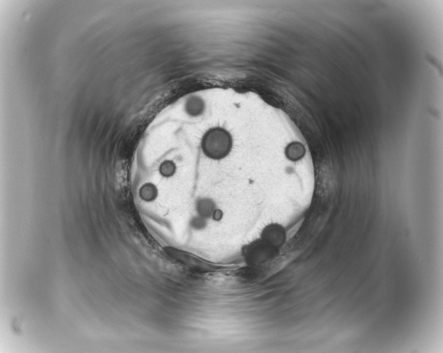 X0000100200284200806271648