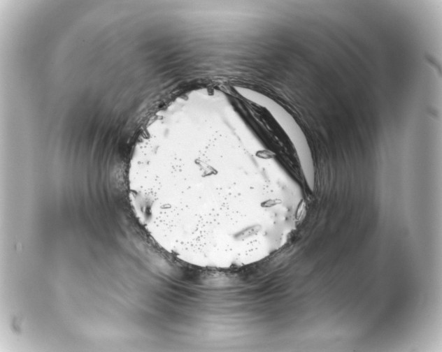 X0000100200286200806271648