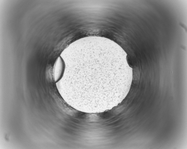 X0000100200287200806271648