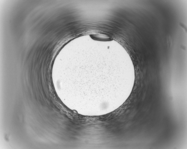 X0000100200289200806271648