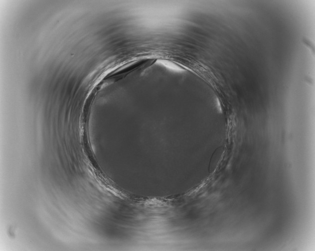 X0000100200290200806271648