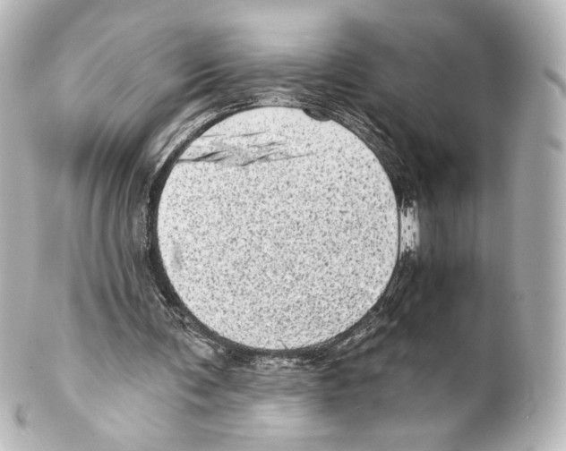 X0000100200291200806271648