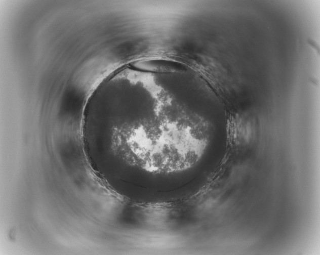 X0000100200292200806271648