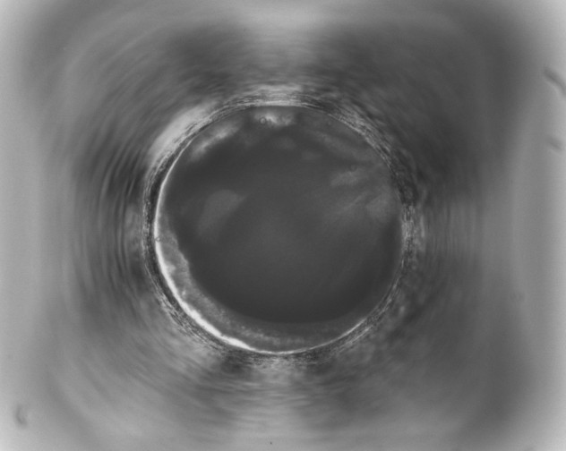 X0000100200293200806271648