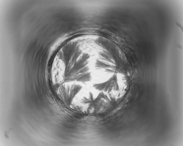 X0000100200294200806271648