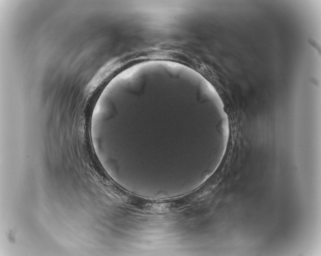 X0000100200295200806271648