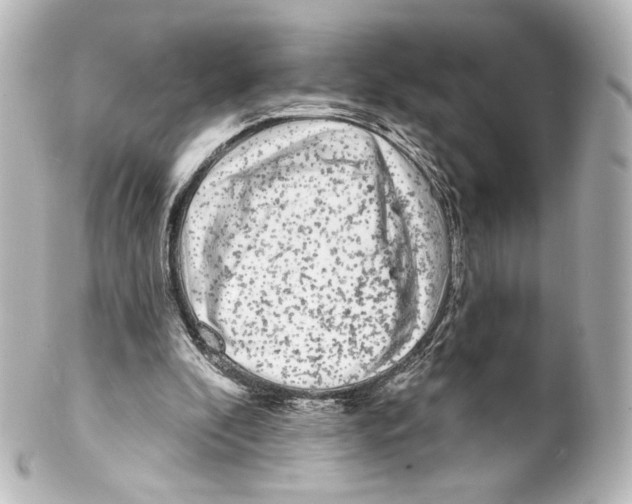 X0000100200296200806271648