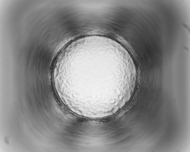 X0000100200298200806271648