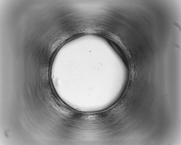 X0000100200299200806271647