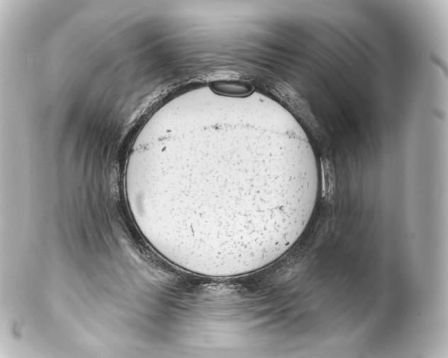 X0000100200300200806271647