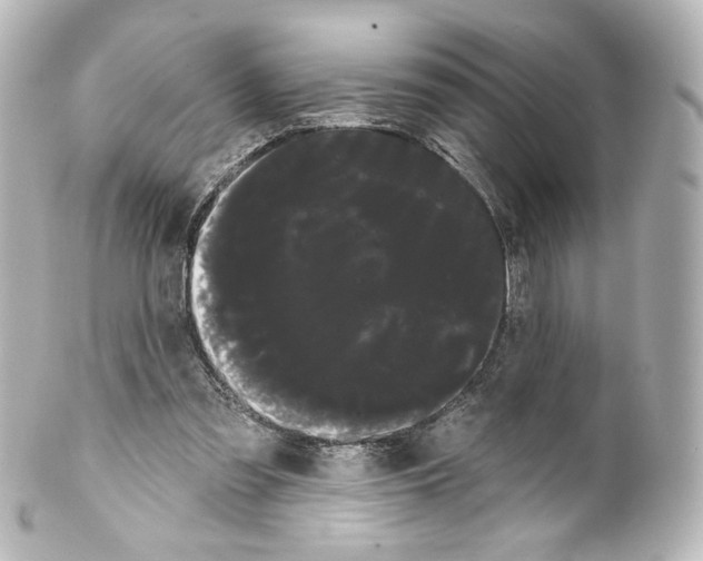 X0000100200301200806271647