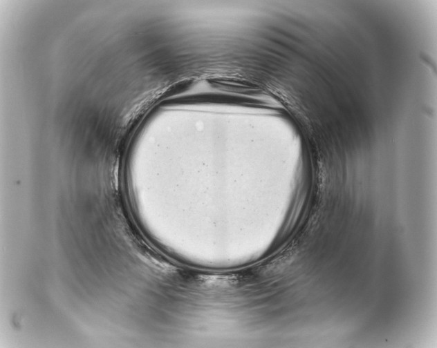 X0000100200303200806271647