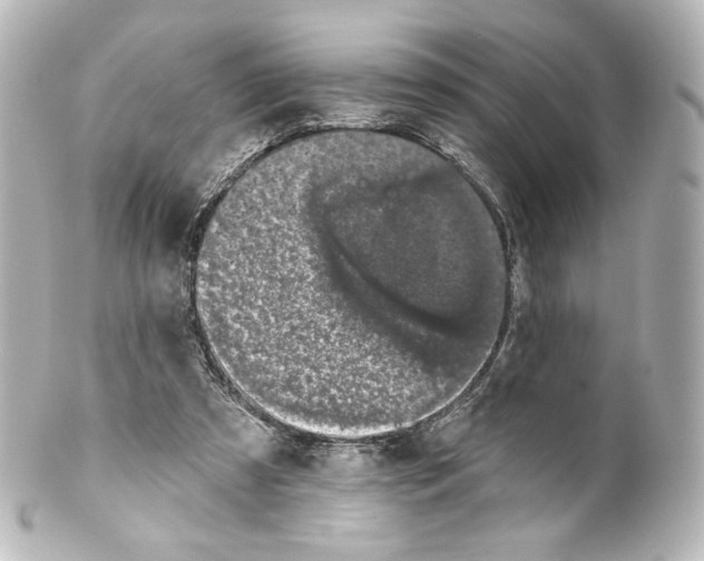 X0000100200305200806271647