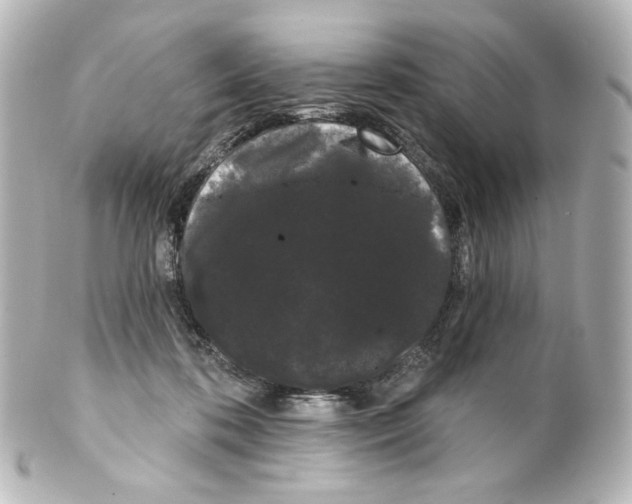 X0000100200316200806271647