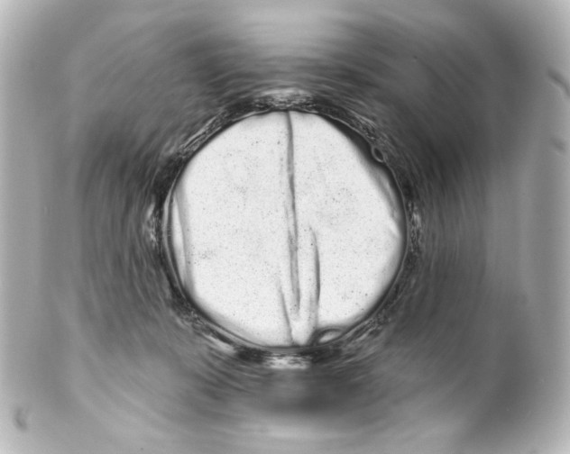 X0000100200319200806271647