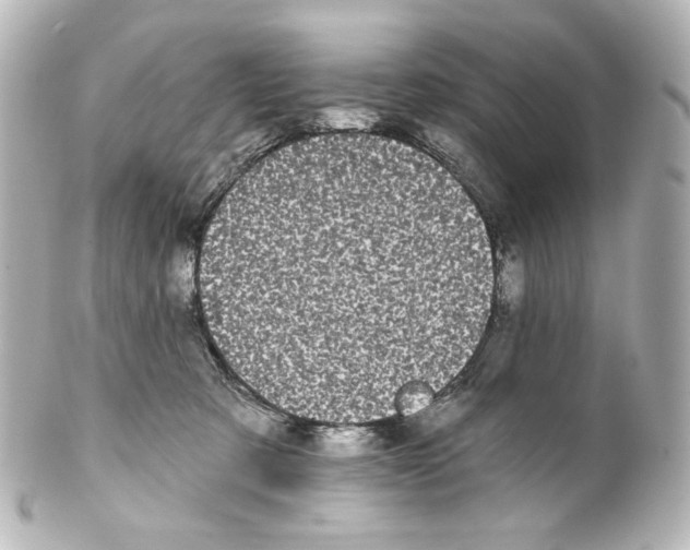 X0000100200321200806271647