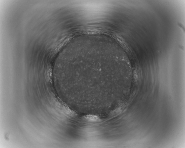 X0000100200322200806271647