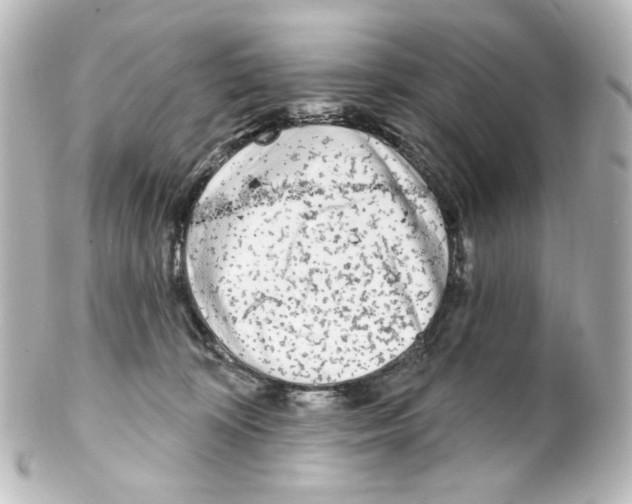 X0000100200324200806271647