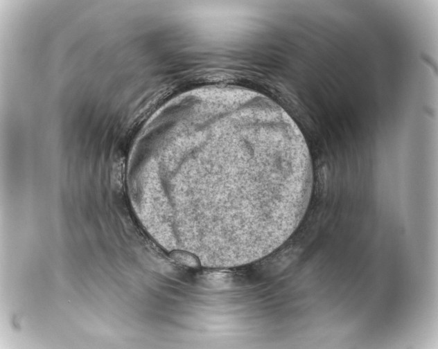 X0000100200325200806271647