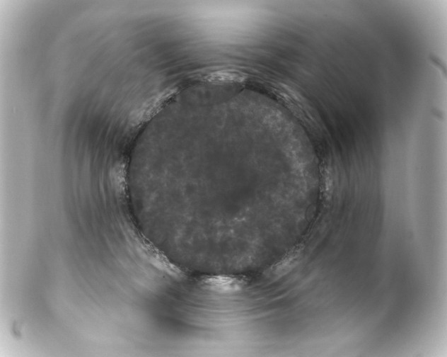 X0000100200326200806271647