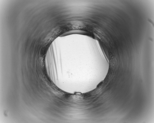 X0000100200327200806271647