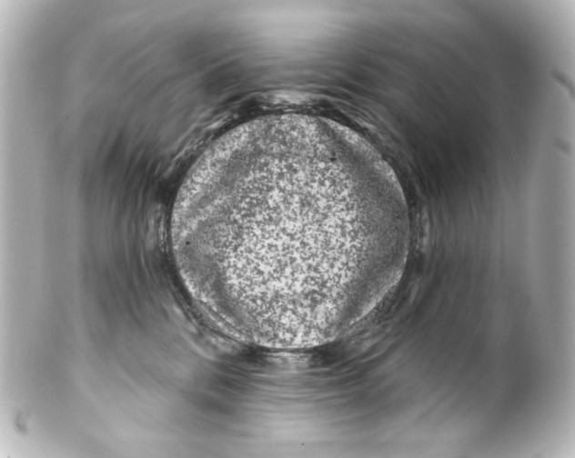 X0000100200328200806271647