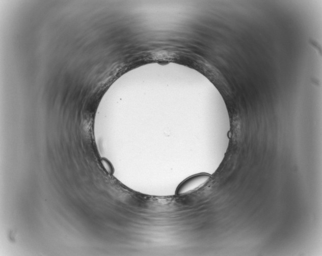 X0000100200329200806271647